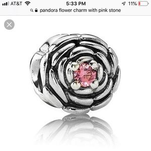AUTHENTIC Retired Pandora Charm